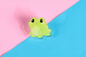 Frog Acrylic Pin