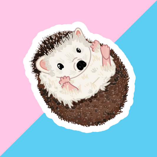 Hedgehog Die Cut Sticker